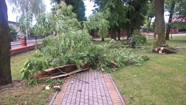 We wtorek 20 czerwca nad Szczuczynem przeszła burza. Gwałtowny wiatr połamał drzewa, a intensywne opady deszczu zalały ulice. Skutki tych zjawisk usuwali m.in. strażacy z OSP Szczuczyn.