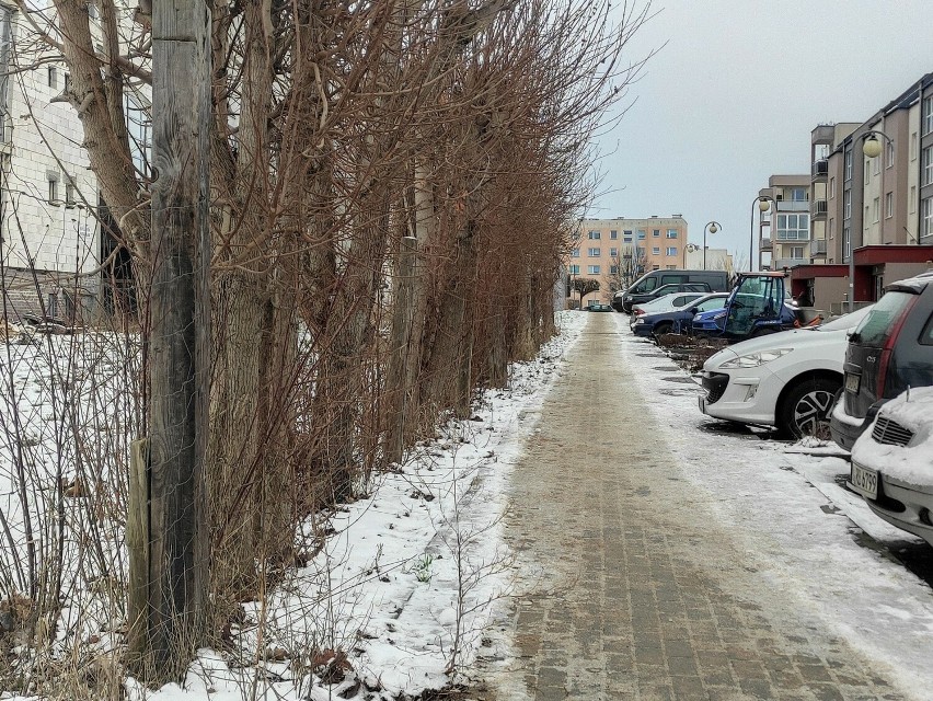 Kto ma odśnieżać chodniki w mieście? Regulują to przepisy. W Malborku mandaty się nie sypią, ale lepiej wywiązywać się z obowiązków