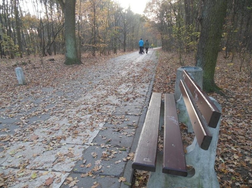 Leśny deptak między osiedlem Zacisze a Leśnym jest...