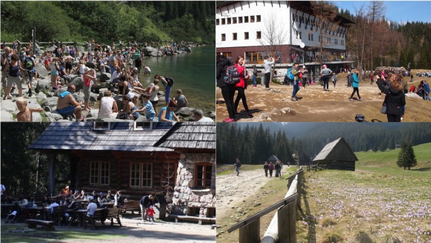 Tatry. Ponad 1,6 mln turystów wędrowało latem po górach. A gdzie było najwięcej? 