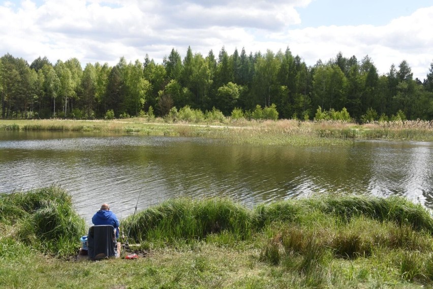 Wędkowanie to świetny sposób na relaks nad wodą. Gdzie...