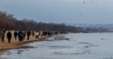 Spacer po plaży w Nowy Rok. Tłumy nad morzem [ZDJĘCIA]