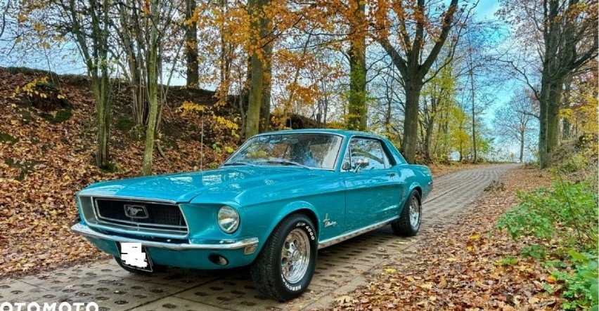 Ford Mustang Coupe 302cid 5.0v8. Cena 177 tys. złotych