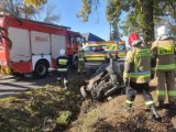 Wypadek w Kamiennej w powiecie piotrkowskim: Ranne cztery osoby, w tym dziecko ZDJĘCIA