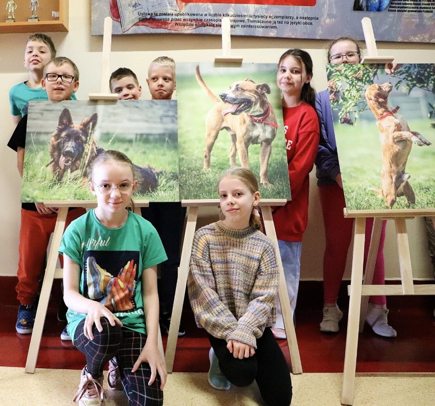 W szkołach będą promować adopcje zwierząt. Pierwsza wystawa już gości w SP nr 1 w Kaliszu. ZDJĘCIA