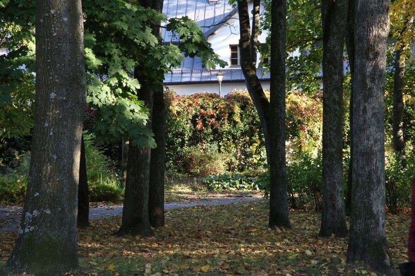 Kielecki park pełen jesiennych barw. Zobacz, jak tu jest pięknie