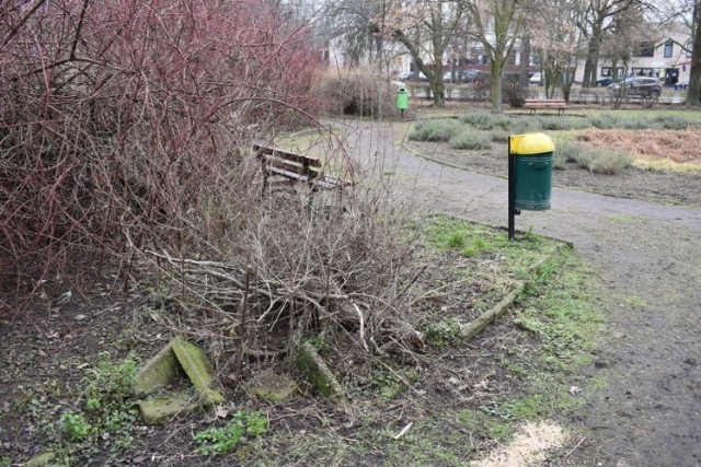 Park w centrum Gubina przez długi czas nie należał do miejsc estetycznych, a wręcz odstraszał.