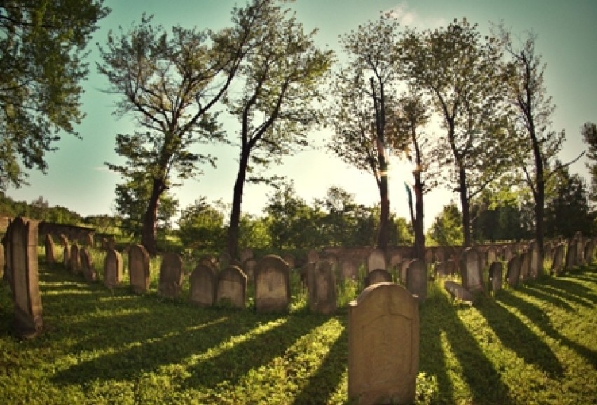 II Miejsce cmentarz żydowski Magdalena Konop Dukla