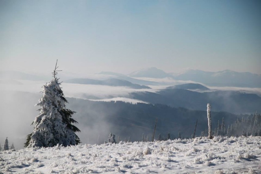 Śnieg w Beskidach. W górach wciąż biało! [ZDJĘCIA]