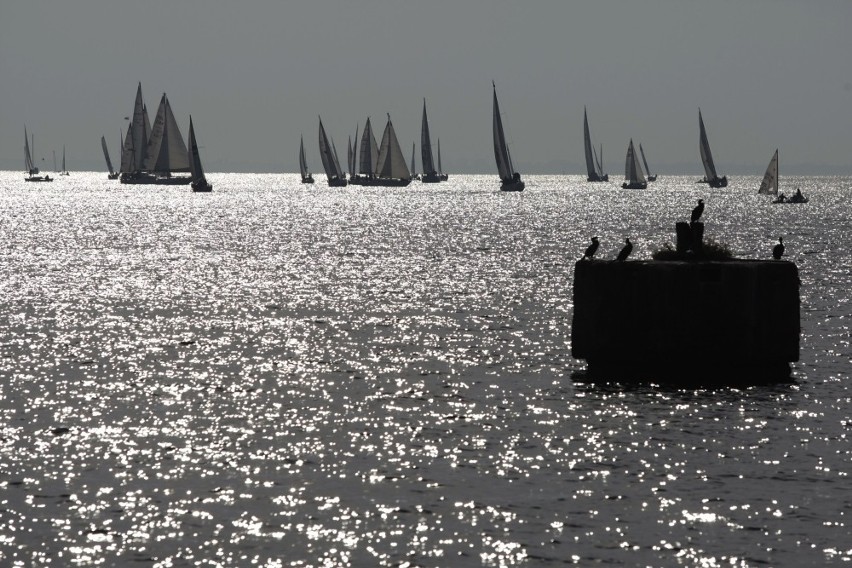 Gdynia: Kalendarz imprez żeglarskich w 2012 roku