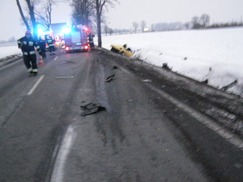 Kobieta zginęła w wypadku na drodze krajowej nr 22 koło Starego Pola [ZDJĘCIA]