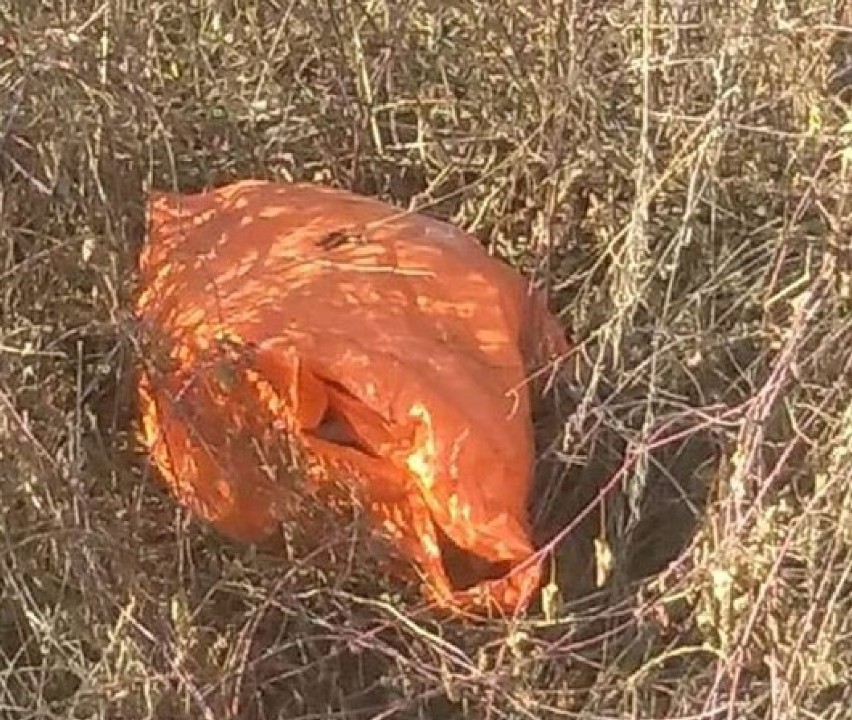 Ten worek ze śmieciami wyrzucił poszukiwany kierowca passata