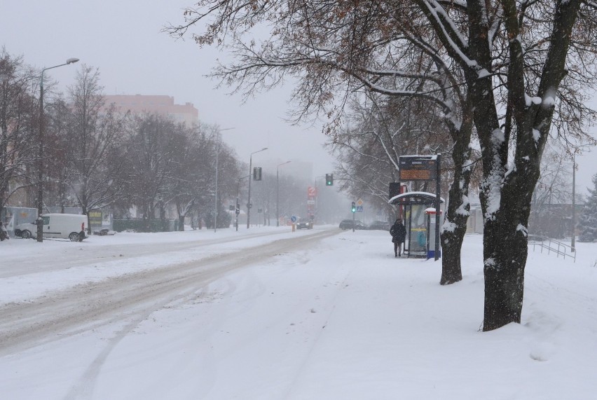 Cały Radom zasypany śniegiem. Kierowcy mają trudne warunki na drogach, piesi na chodnikach - zobacz zdjęcia 