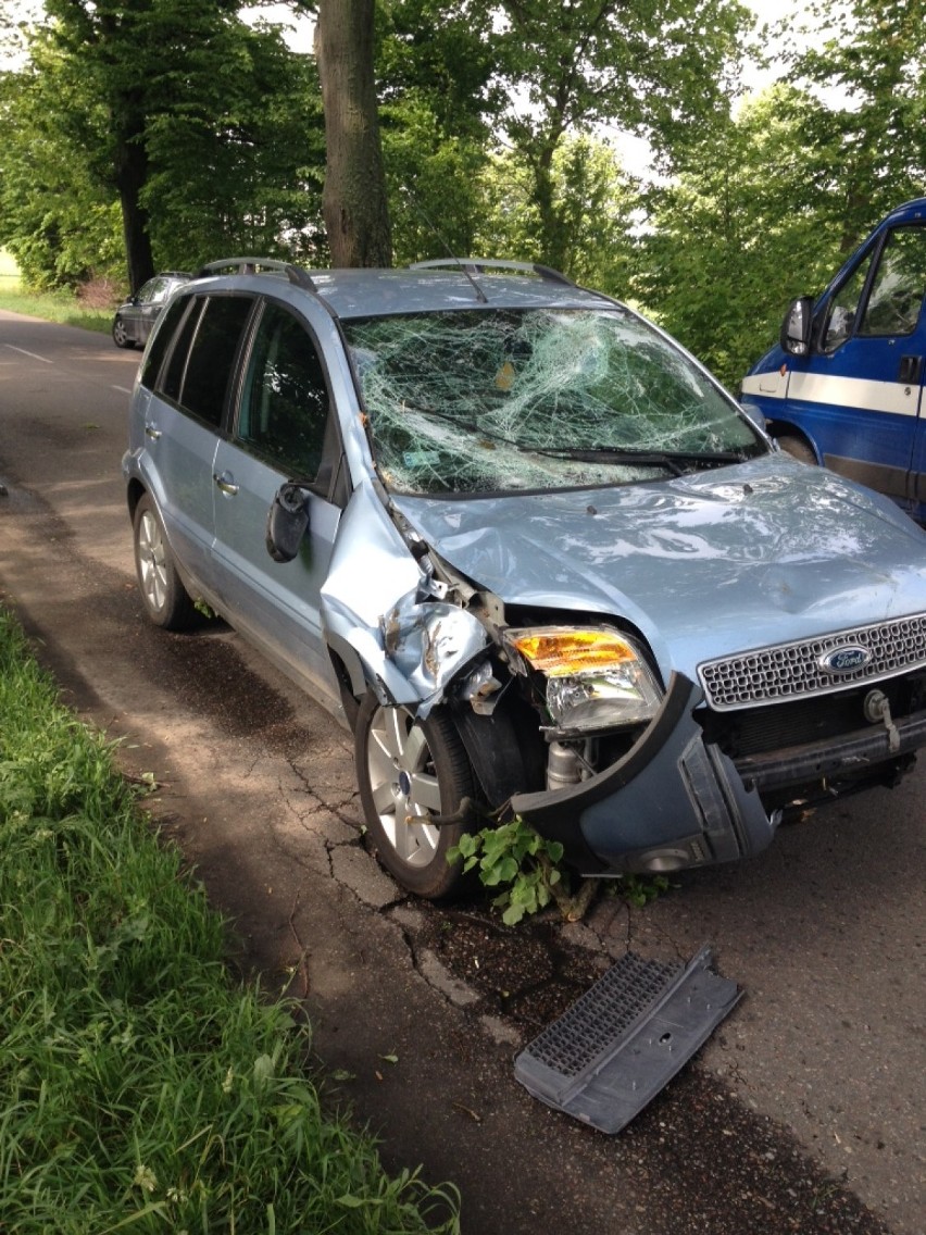 Wypadek w Więckowach: Drzewo spadło na auto