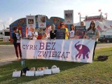 Bełchatów: protest pod cyrkiem