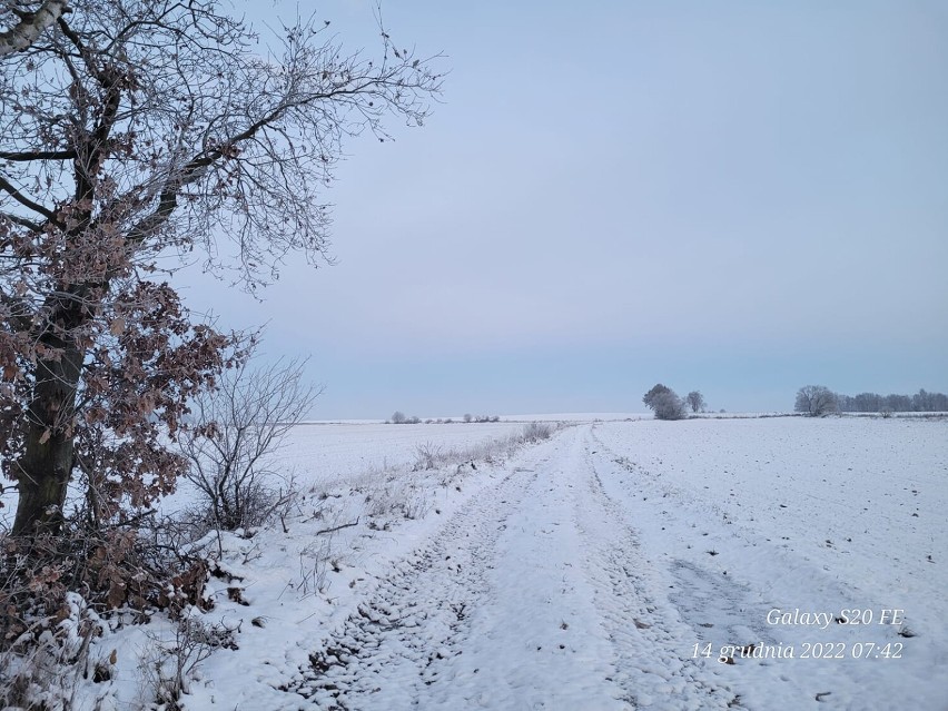 Zima w okolicach Żagania w obiektywie Czytelniczki