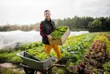 Od zrównoważonego rolnictwa do zdrowego życia, czyli jaki wpływ na żywność mają dyrektywy unijne?