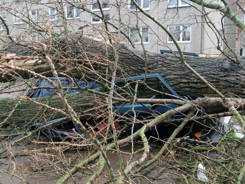 Orkan Sabina w regionie. Zniszczenia w Kołobrzegu [ZDJĘCIA]