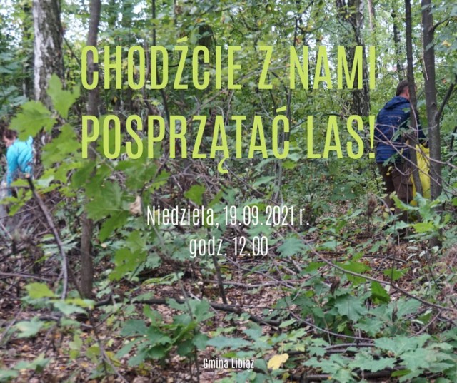 Akcja sprzątania lasu w Libiążu