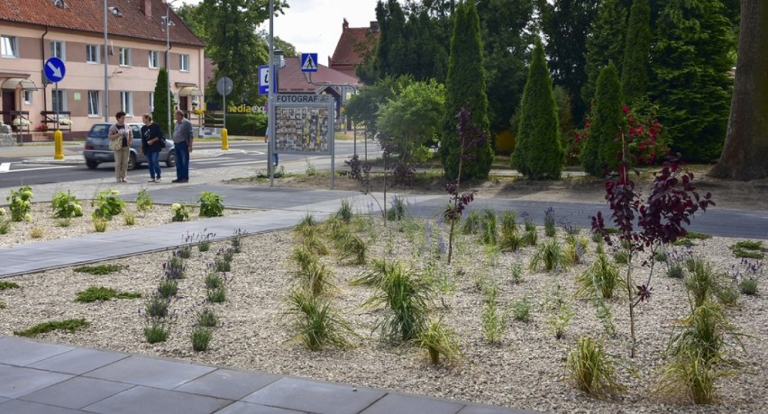 Centrum Sztumu całe w kwiatach. Przed magistratem stanęły donice z nowymi roślinami