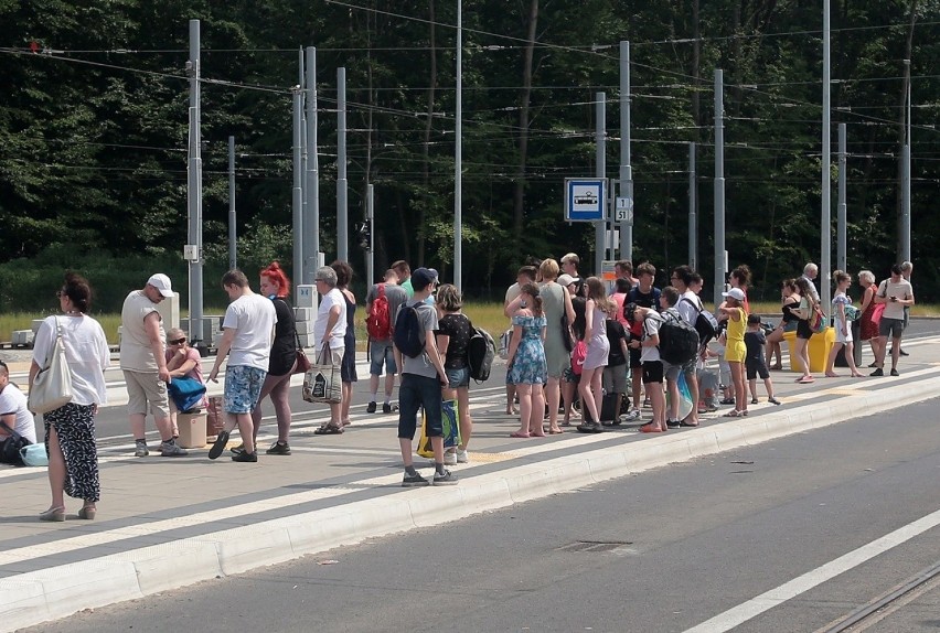 Tłumy nad jeziorem Głębokim w Szczecinie. Plażing, smażing i mimo upałów trochę ruchu ZDJĘCIA 23.06.2021  