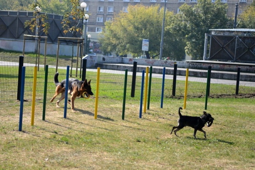 Wybieg dla psów przy Ogrodzie Krasińskich [zdjęcia]