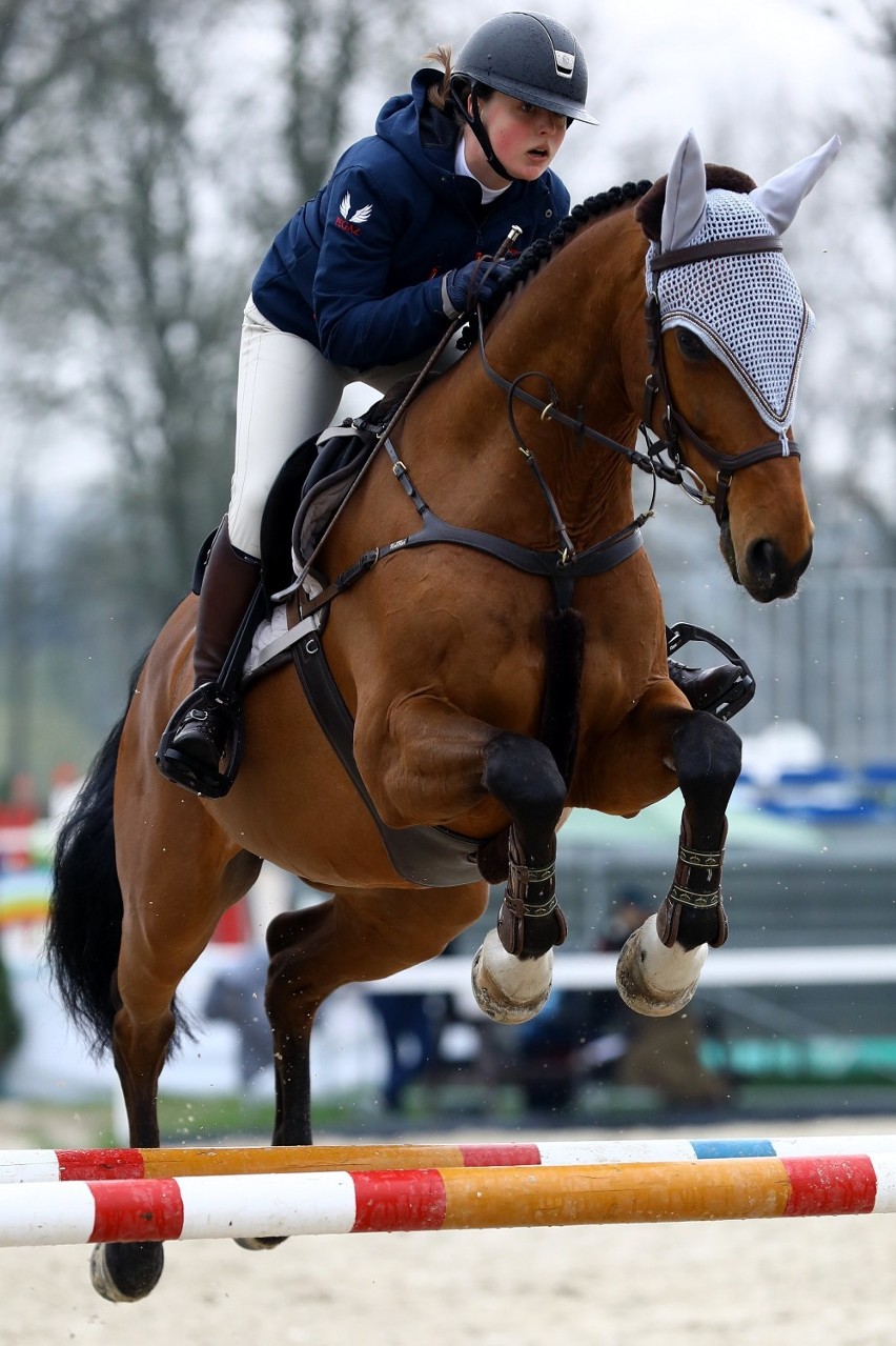 Zawody CSI2* Bogusławice 2021 w skokach przez przeszkody....