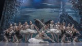 „Jezioro łabędzie” w wykonaniu Narodowego Baletu Kijowskiego już w marcu obejrzymy w Lublinie i Puławach!