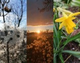 Wiosna zawitała do Krosna Odrzańskiego. Oto zdjęcia przyrody wokół miasta, autorstwa Marcina Podolskiego