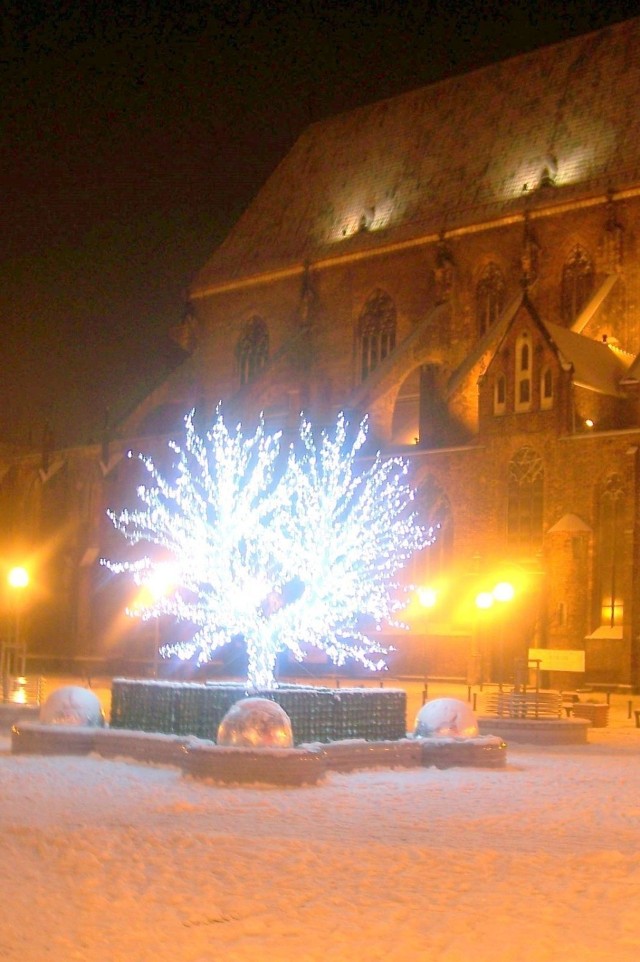 Wrocław. Plac przed kościołem św. Marii Magdaleny. Fot. Adam K. Podg&oacute;rski