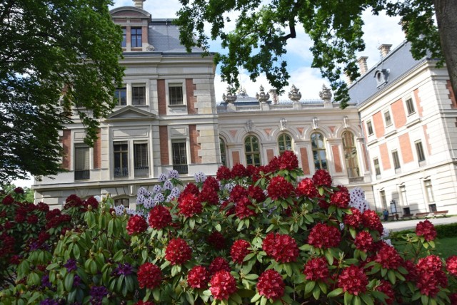 Zamek pszczyński i rododendrony