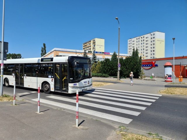 Do tragedii doszło na tych pasach przy ul. Dziewulskiego w Toruniu. Autobus śmiertelnie potrącił 73-latnią pieszą. Nasz artykuł wywołał burzliwą dyskusję. Kto jest bardziej nieostrożny w Toruniu: "bezmyślni piesi" na pasach czy "zapierniczający jak wariaci" kierowcy?