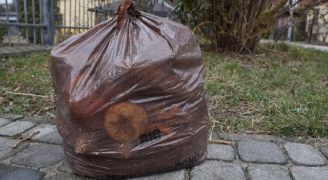 Pleszew. Koniec z brązowymi workami na a odpady biodegradowalne. Władze miasta kupią 240-litrowe pojemni. Ma być taniej!