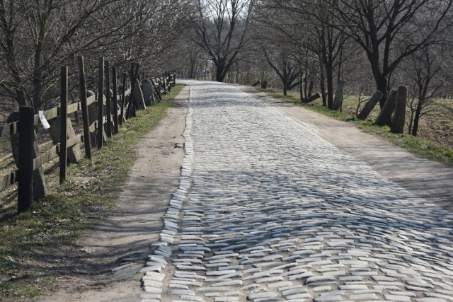 Rozpoczyna się remont wałów przeciwpowodziowych na ul. Ślęzoujście.  Mieszkańców czekają utrudnienia na czas remontu 23.08.2022