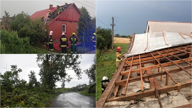 Strażacy wciąż walczą ze skutkami sobotniej burzy. Połamane są drzewa oraz uszkodzone dachy w regionie