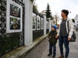 Muzeum w Piotrkowie nieczynne do poniedziałku