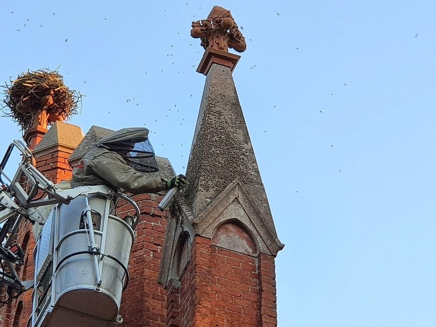 Chmara pszczół nadciągnęła do centrum Chyciny.