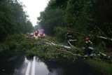 Gwałtowna burza w Sulmierzycach