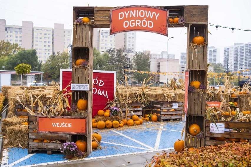 Dyniowy Ogród w Warszawie. To miejsce trzeba odwiedzić jesienią. Idealne na spacer i klimatyczne zdjęcia 