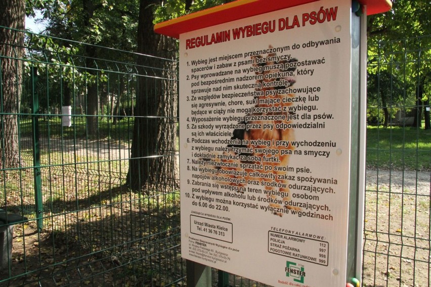 Dzieci opanowały plac zabaw dla... psów w Kielcach