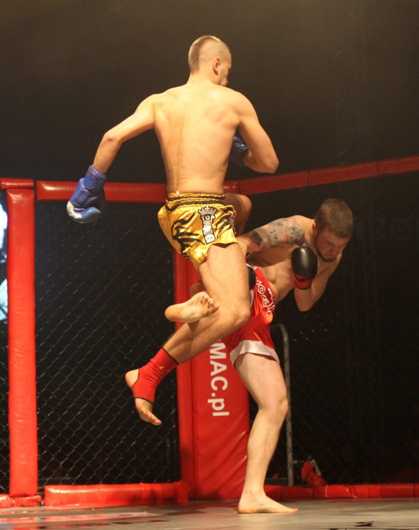 Testosteron 2014: Gala MMA