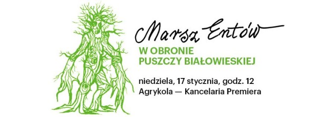 Ulicami Warszawy przemaszerują Entowie. Ludzie-drzewa będą protestować przeciwko wycince