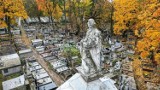 Kieleckie cmentarze w obiektywie mieszkańców miasta. Zobacz niesamowite zdjęcia