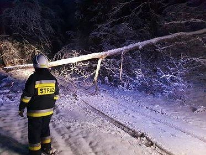 Chwile mrożące krwe w żyłach. Autobus z dziećmi ściągało w stronę skarpy