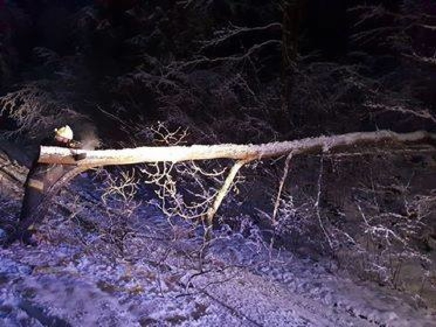 Chwile mrożące krwe w żyłach. Autobus z dziećmi ściągało w stronę skarpy