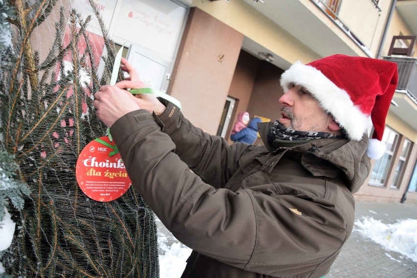 Choinka dla życia. Wyjątkowa zbiórka krwi odbyła się także w Sieradzu. Na dawców w prezencie czekało świąteczne drzewko ZDJĘCIA