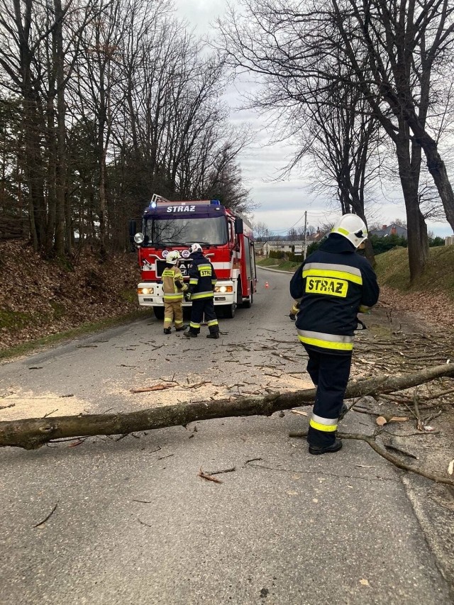 Od rana strażacy usuwają skutki gwałtownych podmuchów wiatru pod Tarnowem. Drzewa przewróciły się m.in. na drogi w Zalasowej i Kowalowej