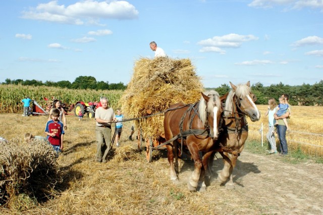 Muzeum w Szreniawie zaprasza na imprezę "Przeszłość przyszłości. Żniwa i dożynki"