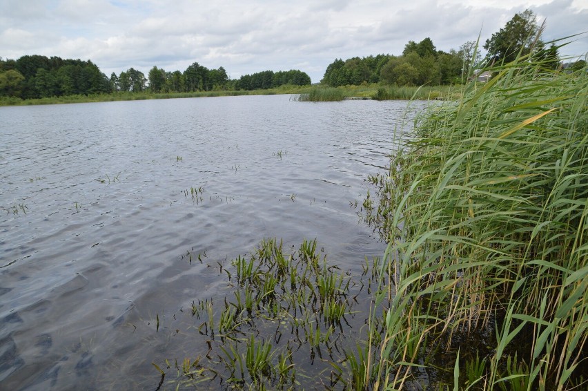Jest nadzieja na uratowanie jeziora w Trzebielinie. Próg i zastawka piętrzące wodę już jest
