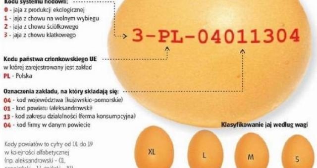 Zatrute jajka z Żor: Uważajcie na ekologiczne jajka!